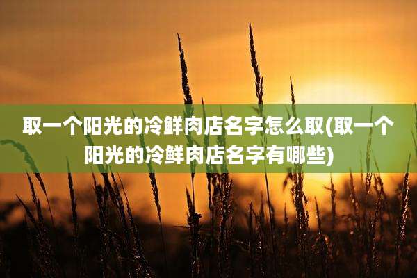 取一个阳光的冷鲜肉店名字怎么取(取一个阳光的冷鲜肉店名字有哪些)