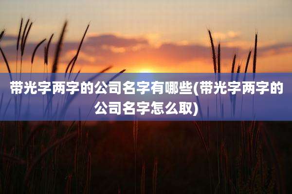 带光字两字的公司名字有哪些(带光字两字的公司名字怎么取)