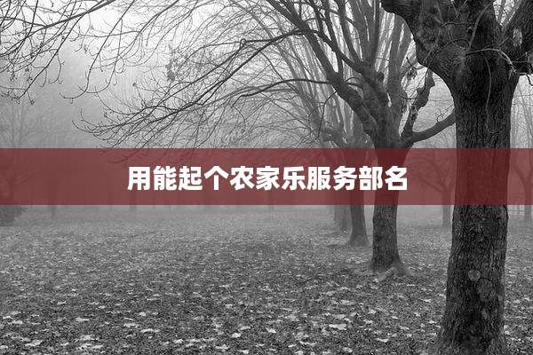 用能起个农家乐服务部名