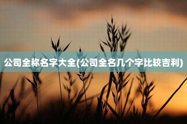 公司全称名字大全(公司全名几个字比较吉利)