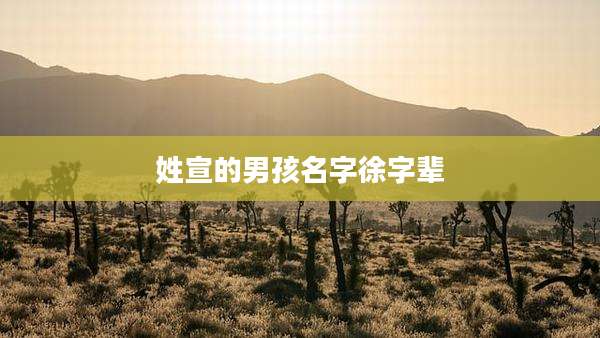 姓宣的男孩名字徐字辈