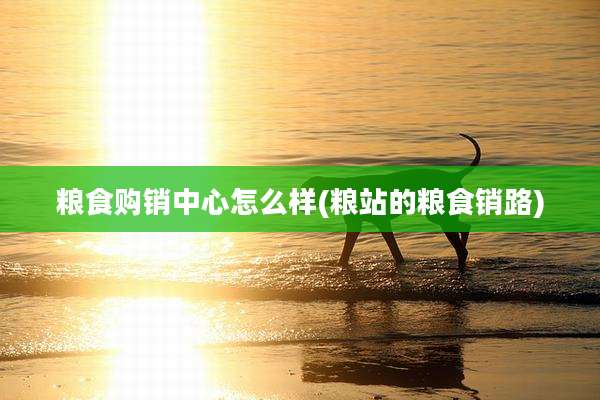 粮食购销中心怎么样(粮站的粮食销路)