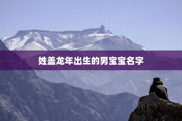 姓盖龙年出生的男宝宝名字
