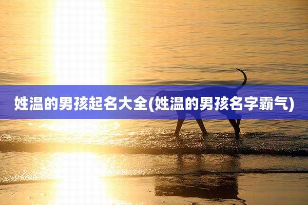 姓温的男孩起名大全(姓温的男孩名字霸气)
