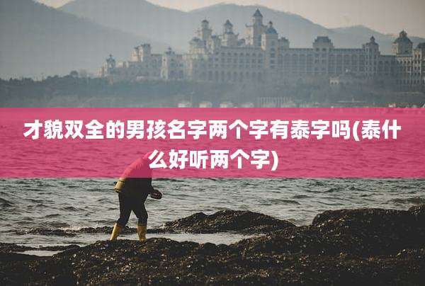 才貌双全的男孩名字两个字有泰字吗(泰什么好听两个字)