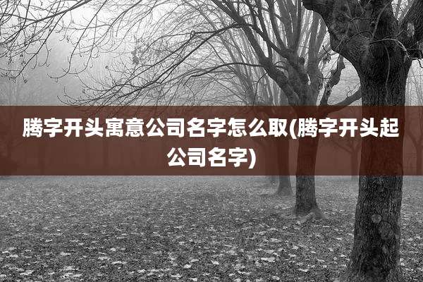 腾字开头寓意公司名字怎么取(腾字开头起公司名字)