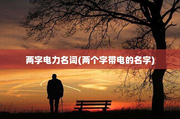 两字电力名词(两个字带电的名字)