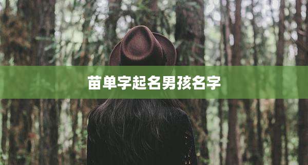 苗单字起名男孩名字
