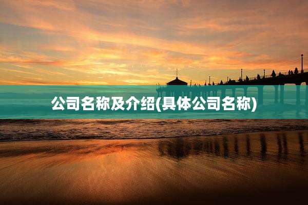 公司名称及介绍(具体公司名称)