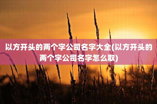以方开头的两个字公司名字大全(以方开头的两个字公司名字怎么取)