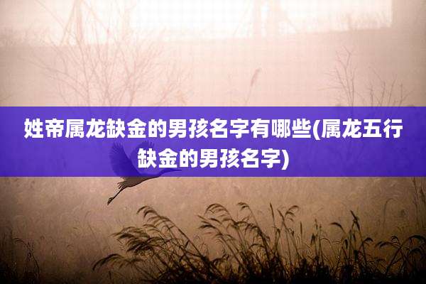 姓帝属龙缺金的男孩名字有哪些(属龙五行缺金的男孩名字)