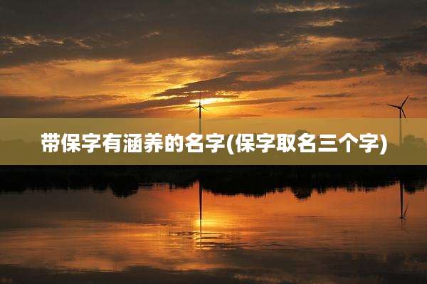 带保字有涵养的名字(保字取名三个字)