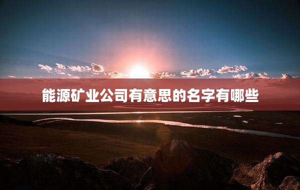 能源矿业公司有意思的名字有哪些