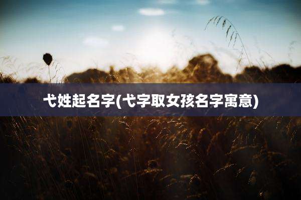 弋姓起名字(弋字取女孩名字寓意)