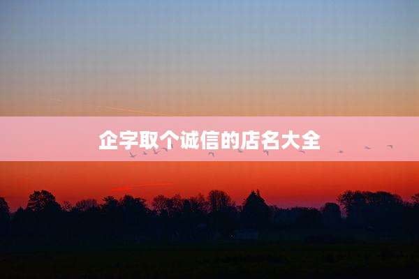 企字取个诚信的店名大全