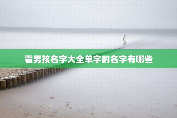 霍男孩名字大全单字的名字有哪些