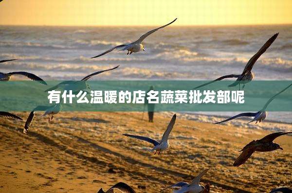 有什么温暖的店名蔬菜批发部呢