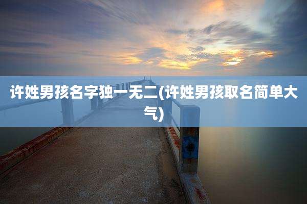 许姓男孩名字独一无二(许姓男孩取名简单大气)