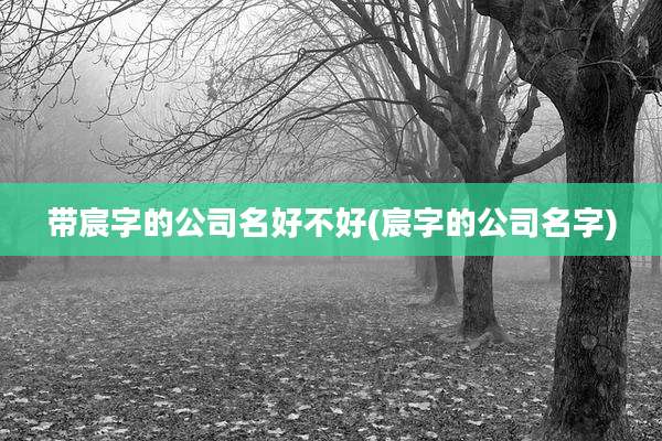 带宸字的公司名好不好(宸字的公司名字)