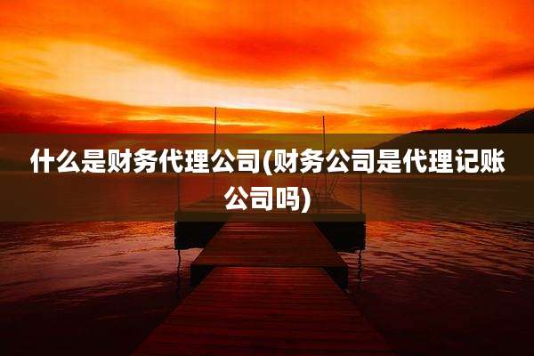 什么是财务代理公司(财务公司是代理记账公司吗)