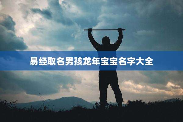 易经取名男孩龙年宝宝名字大全