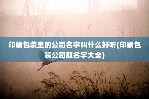 印刷包装里的公司名字叫什么好听(印刷包装公司取名字大全)