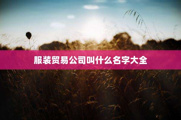 服装贸易公司叫什么名字大全