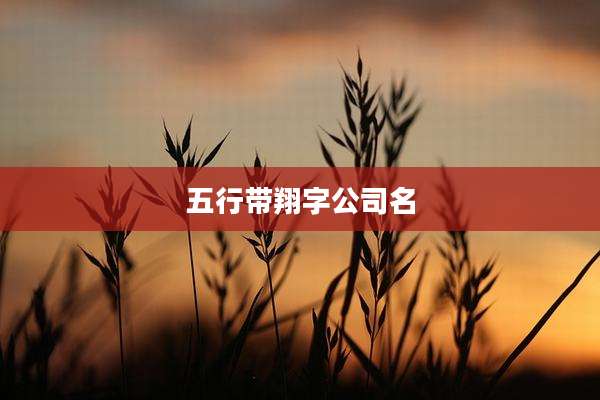 五行带翔字公司名