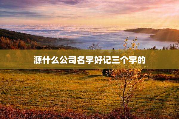 源什么公司名字好记三个字的