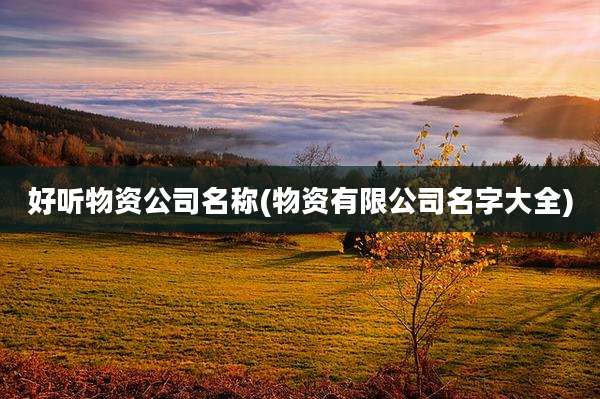 好听物资公司名称(物资有限公司名字大全)