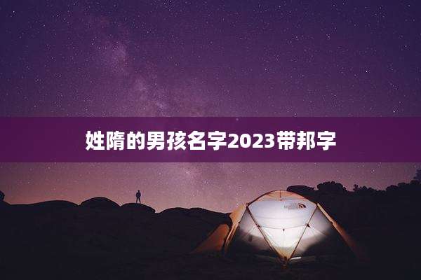 姓隋的男孩名字2023带邦字