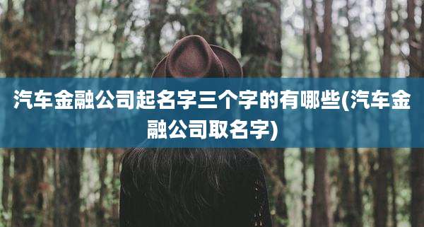 汽车金融公司起名字三个字的有哪些(汽车金融公司取名字)