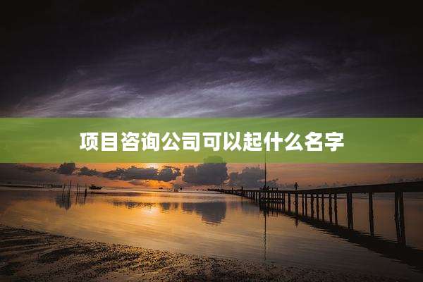 项目咨询公司可以起什么名字