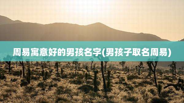 周易寓意好的男孩名字(男孩子取名周易)