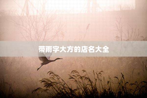 带雨字大方的店名大全