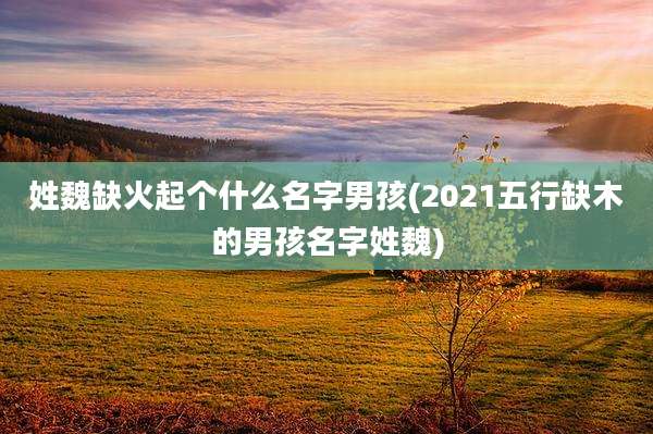 姓魏缺火起个什么名字男孩(2021五行缺木的男孩名字姓魏)