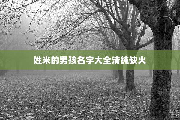 姓米的男孩名字大全清纯缺火