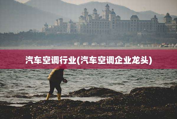 汽车空调行业(汽车空调企业龙头)