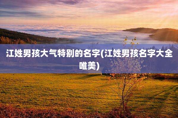 江姓男孩大气特别的名字(江姓男孩名字大全唯美)