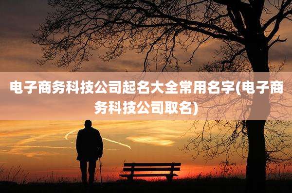 电子商务科技公司起名大全常用名字(电子商务科技公司取名)