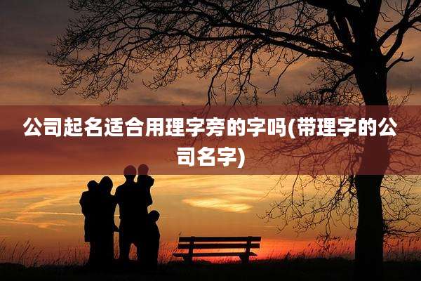 公司起名适合用理字旁的字吗(带理字的公司名字)