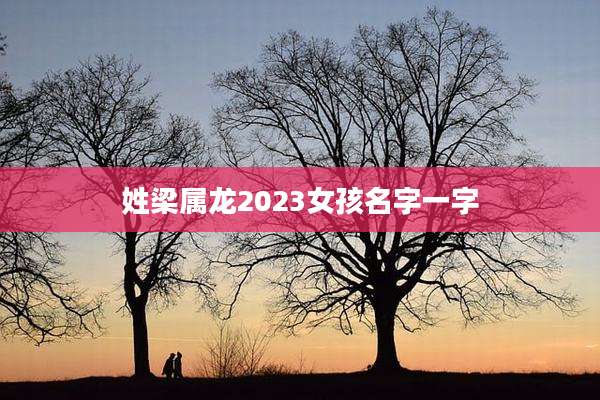 姓梁属龙2023女孩名字一字