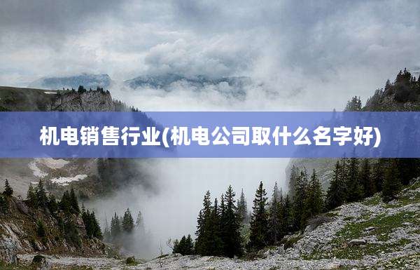 机电销售行业(机电公司取什么名字好)