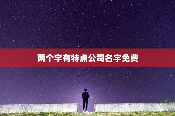 两个字有特点公司名字免费