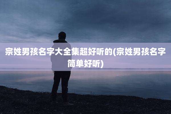 宗姓男孩名字大全集超好听的(宗姓男孩名字简单好听)