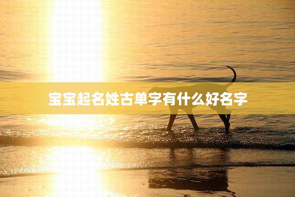 宝宝起名姓古单字有什么好名字