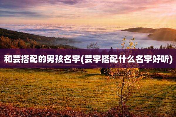 和芸搭配的男孩名字(芸字搭配什么名字好听)