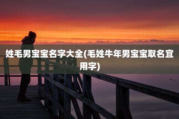 姓毛男宝宝名字大全(毛姓牛年男宝宝取名宜用字)