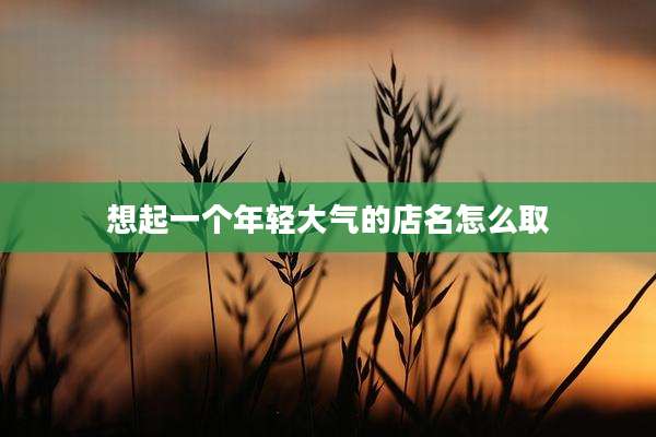 想起一个年轻大气的店名怎么取