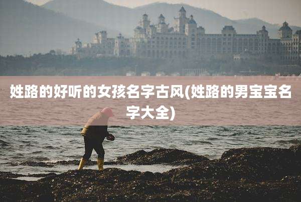 姓路的好听的女孩名字古风(姓路的男宝宝名字大全)